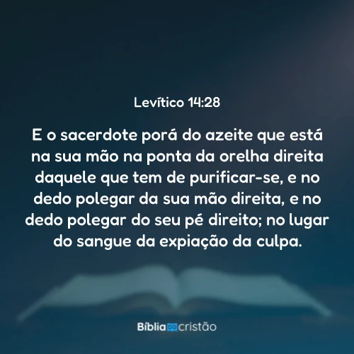 Levítico 14:28