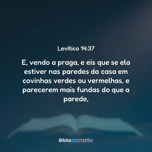 Levítico 14:37