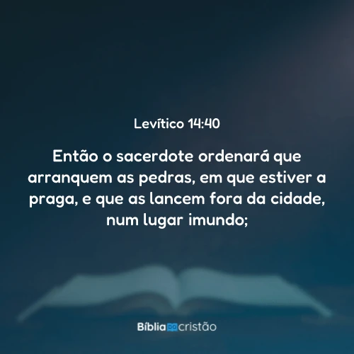 Levítico 14:40
