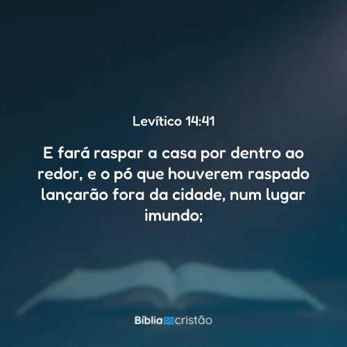 Levítico 14:41