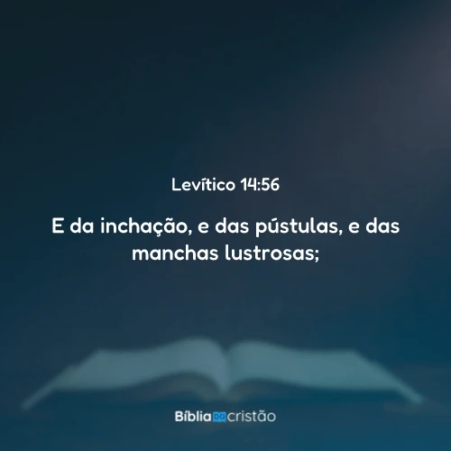 Levítico 14:56