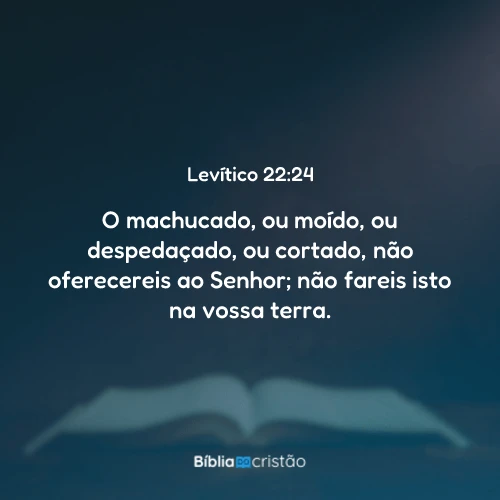 Levítico 22:24
