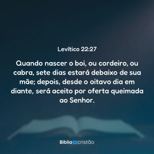 Levítico 22:27