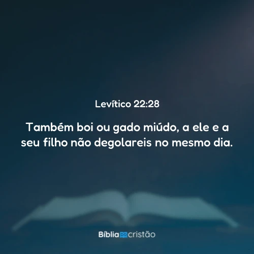 Levítico 22:28