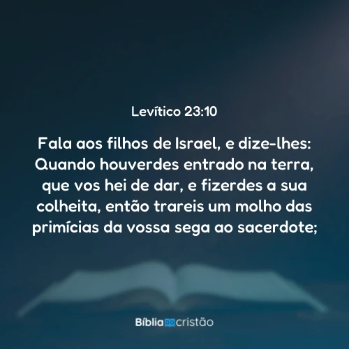 Levítico 23:10