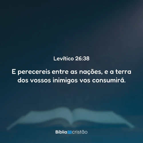 Levítico 26:38