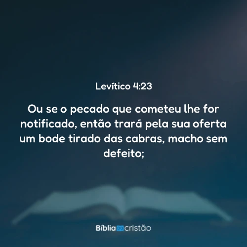 Levítico 4:23