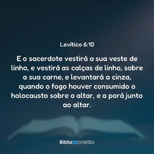 Levítico 6:10