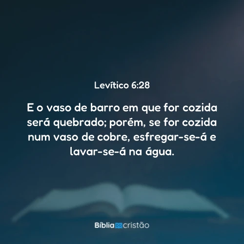 Levítico 6:28