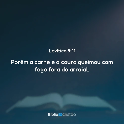 Levítico 9:11