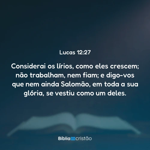 Lucas 12:27