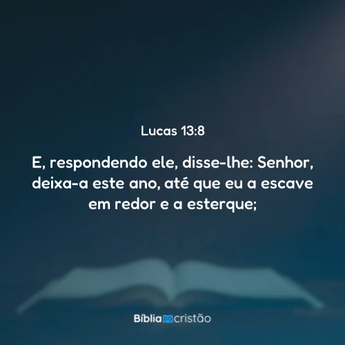 Lucas 13:8