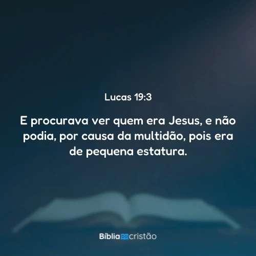 Lucas 19:3