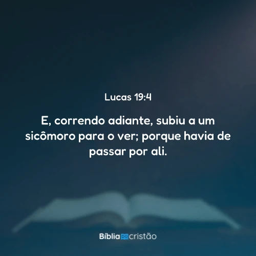 Lucas 19:4