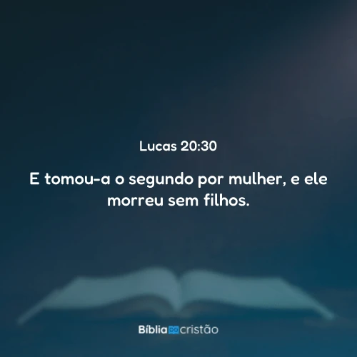 Lucas 20:30