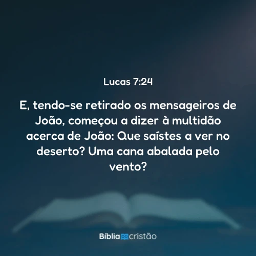 Lucas 7:24