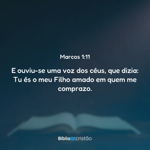 Marcos 1:11