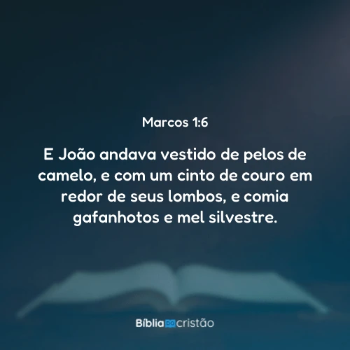 Marcos 1:6
