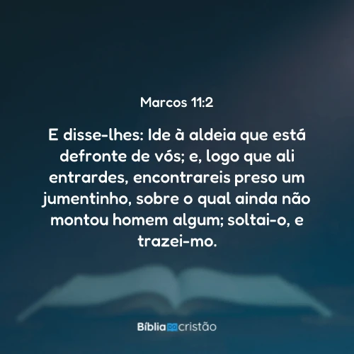 Marcos 11:2