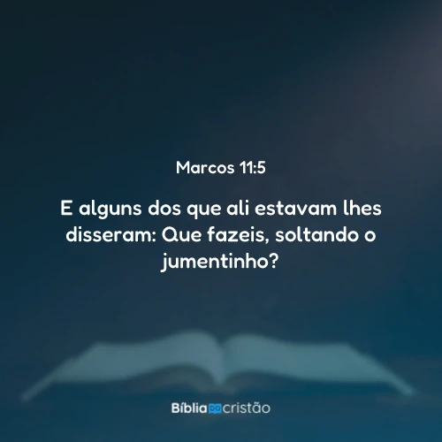 Marcos 11:5