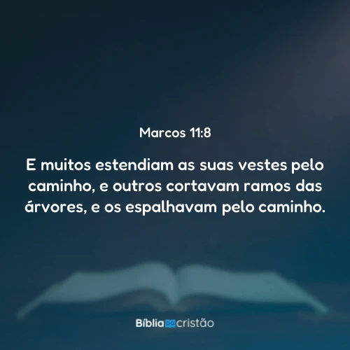Marcos 11:8