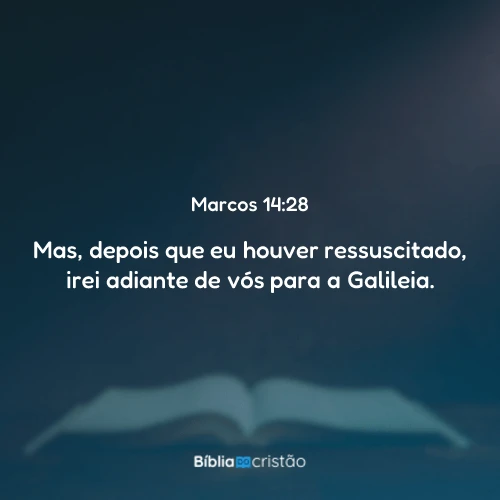 Marcos 14:28