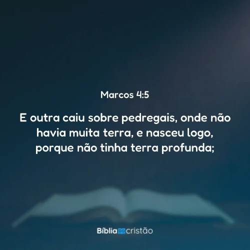 Marcos 4:5