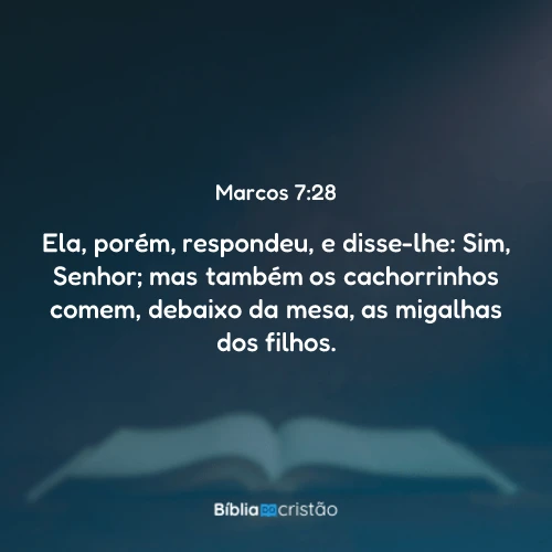 Marcos 7:28