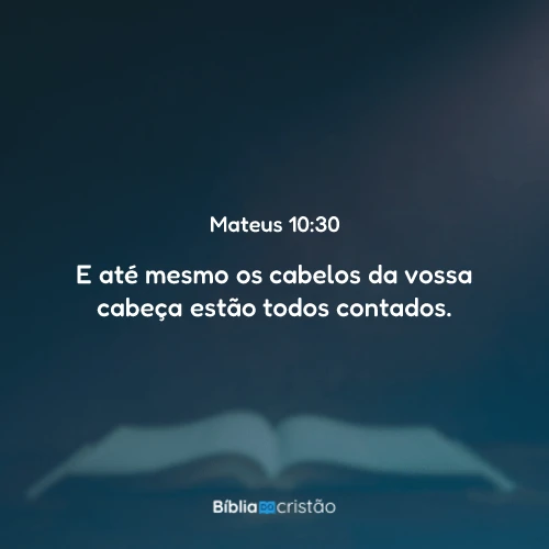 Mateus 10:30