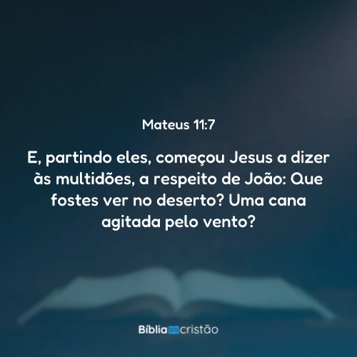 Mateus 11:7