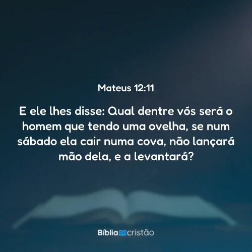 Mateus 12:11