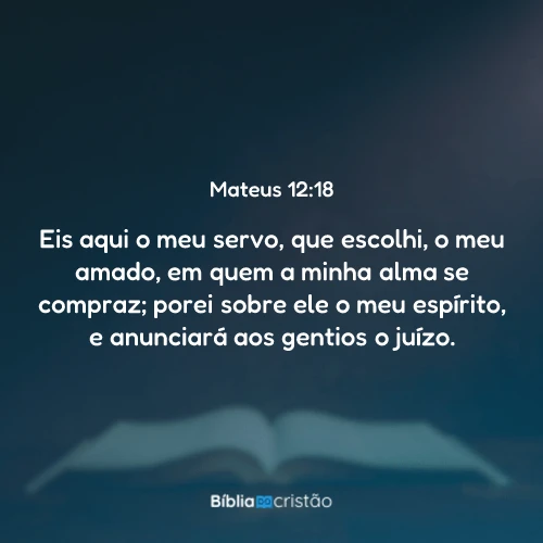 Mateus 12:18