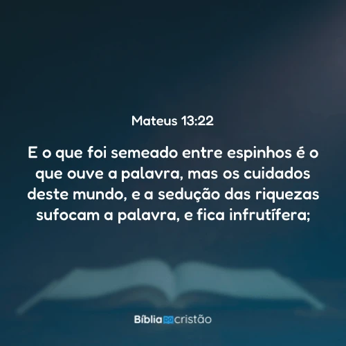 Mateus 13:22