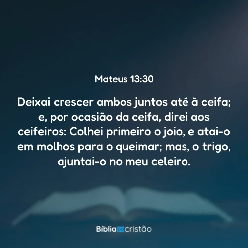 Mateus 13:30