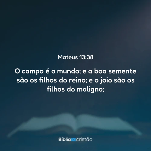 Mateus 13:38