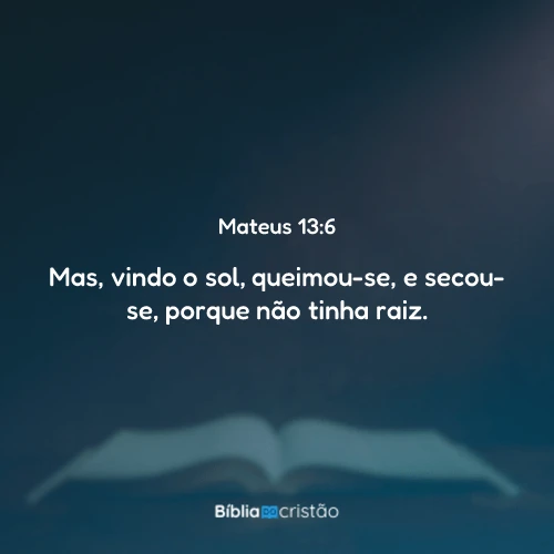 Mateus 13:6