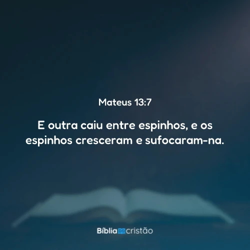 Mateus 13:7