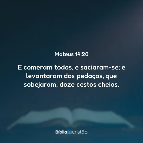 Mateus 14:20
