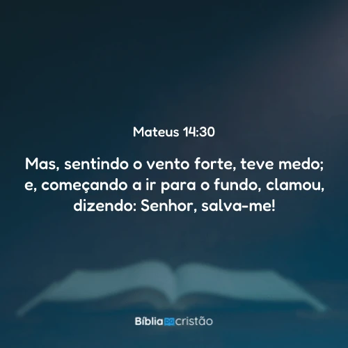 Mateus 14:30