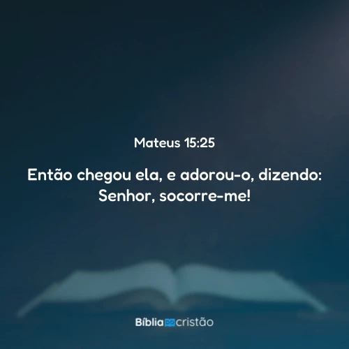 Mateus 15:25