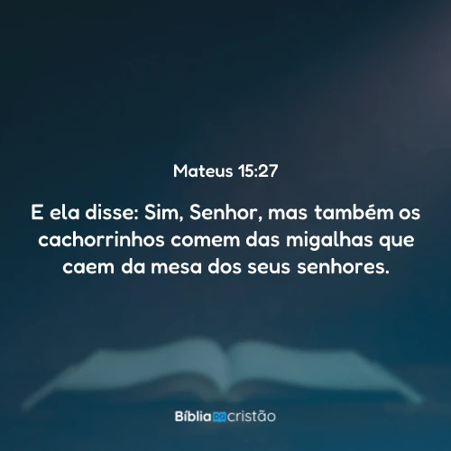 Mateus 15:27