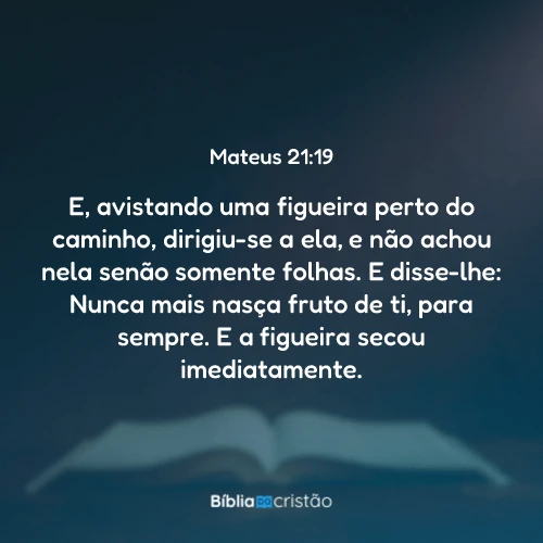 Mateus 21:19