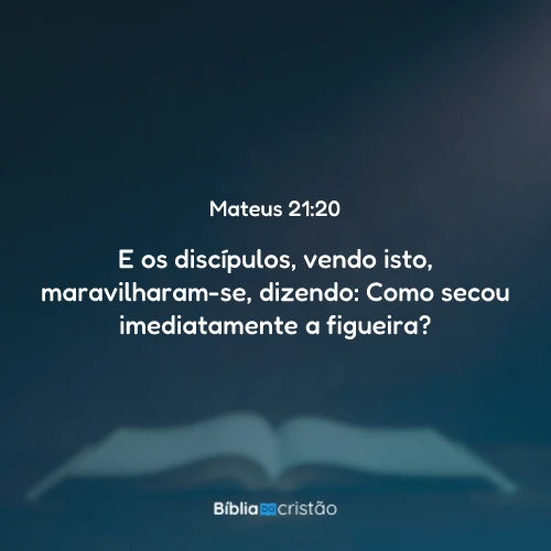 Mateus 21:20
