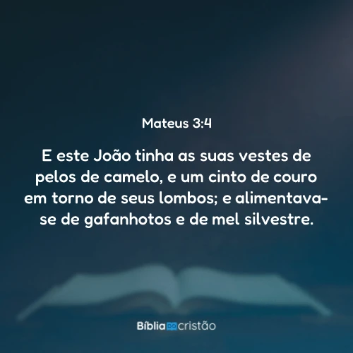 Mateus 3:4