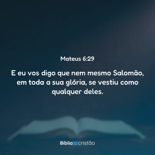 Mateus 6:29