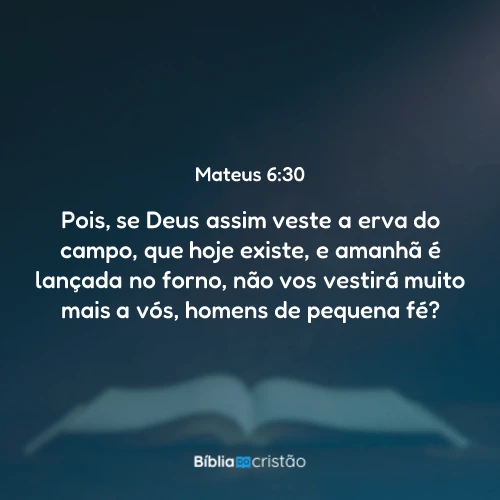 Mateus 6:30