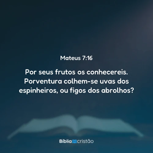 Mateus 7:16