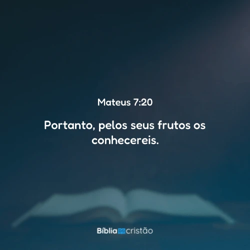 Mateus 7:20