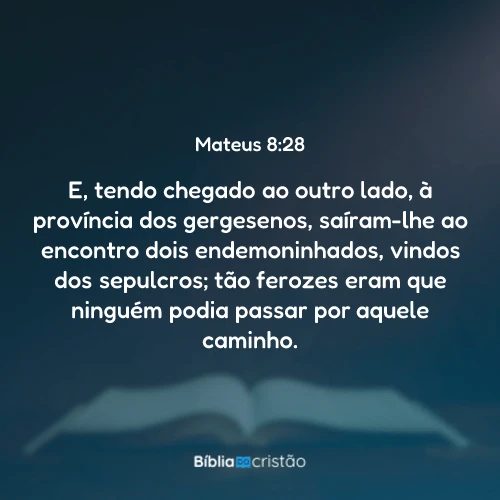 Mateus 8:28