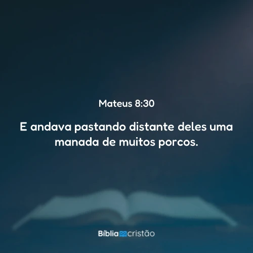 Mateus 8:30
